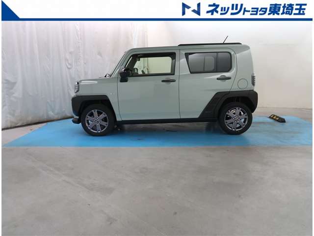 Daihatsu Taft 6