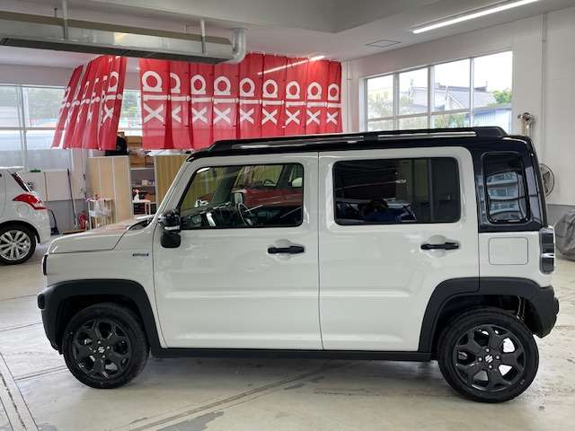 Suzuki Hustler 11