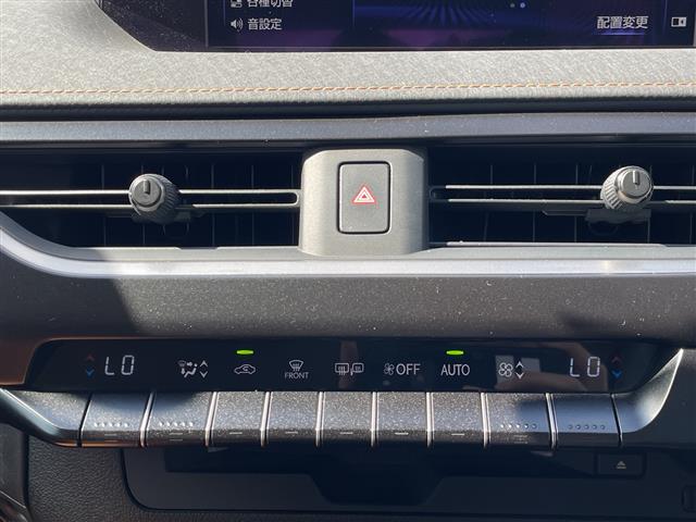 Lexus UX 12