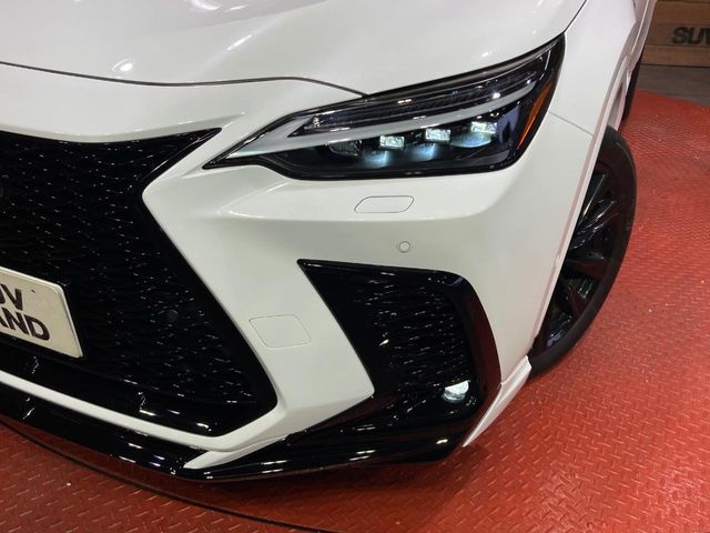 Lexus NX 12