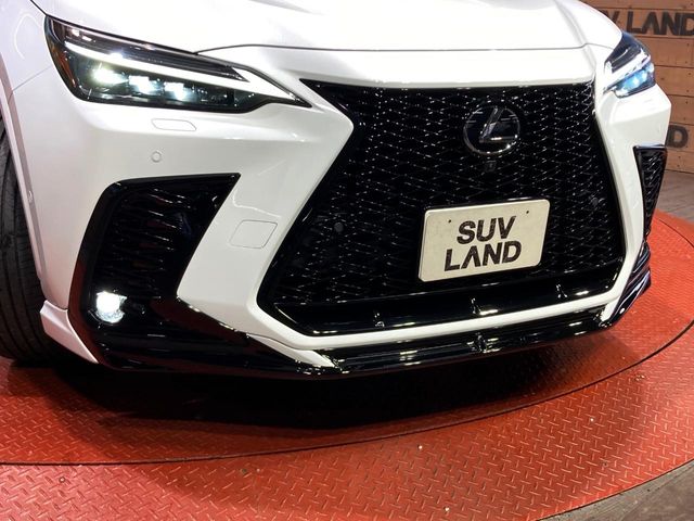 Lexus NX 4