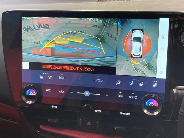Lexus NX 6