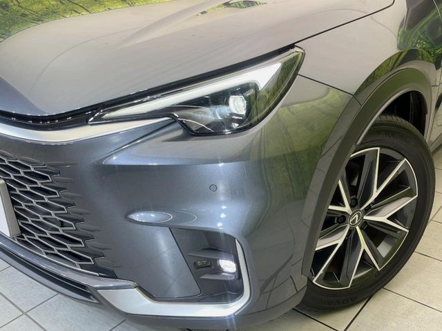 Lexus LBX 12