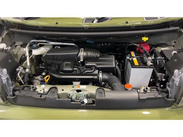 Daihatsu Taft 11