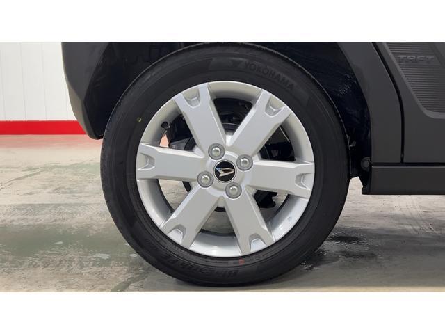 Daihatsu Taft 8