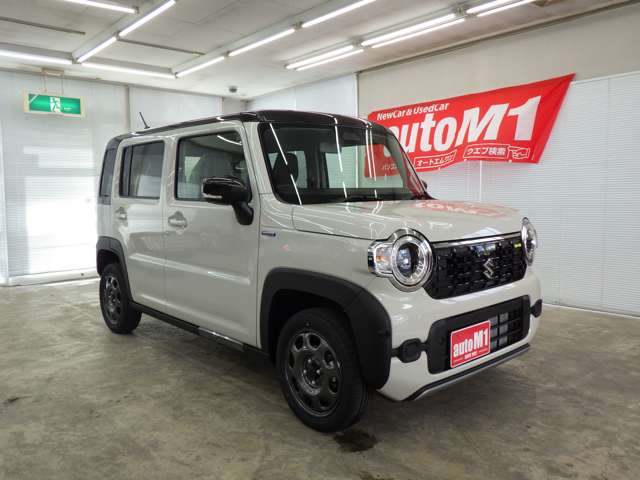 Suzuki Hustler 6