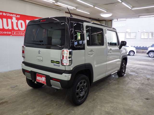 Suzuki Hustler 8