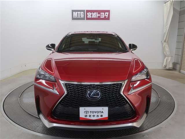 Lexus NX 11