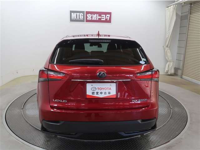 Lexus NX 12