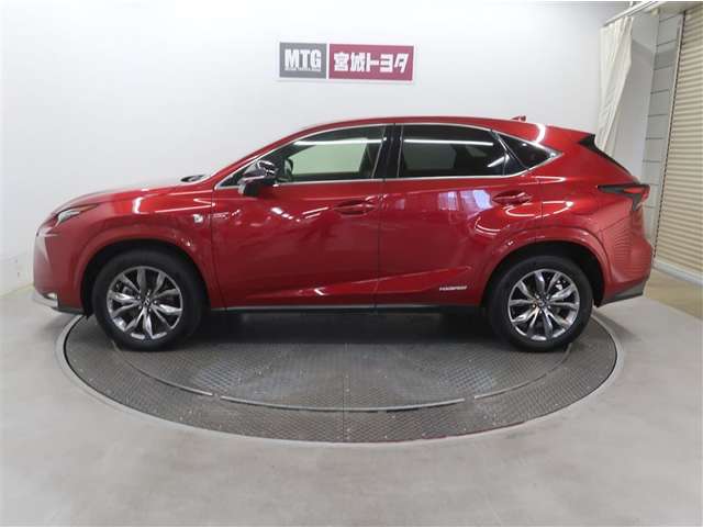 Lexus NX 8