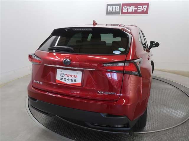 Lexus NX 10