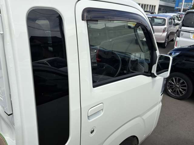 Subaru Sambar Truck 9