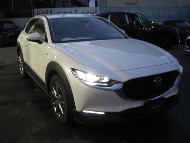 Mazda CX-30 6