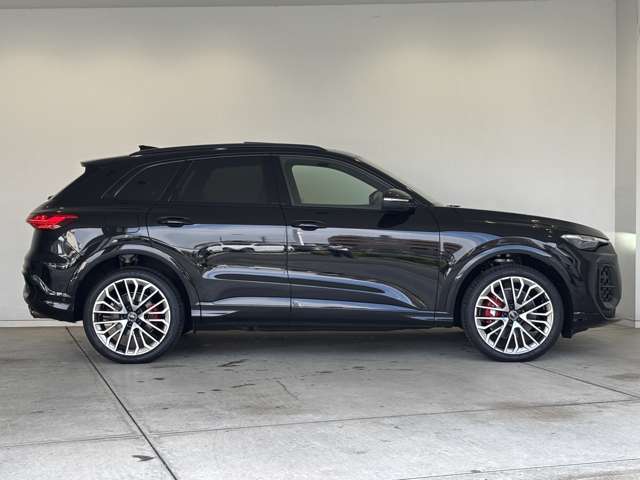 Audi SQ5 11
