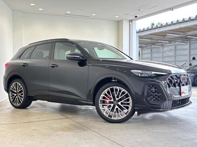 Audi SQ5 9