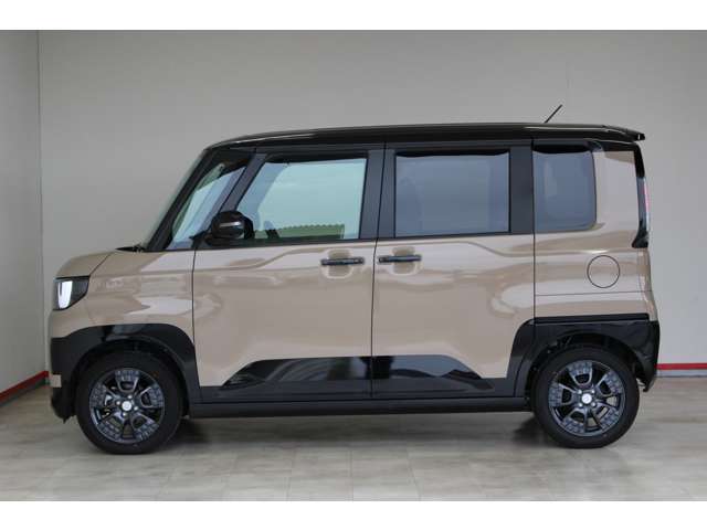 Mitsubishi Delica Mini 4
