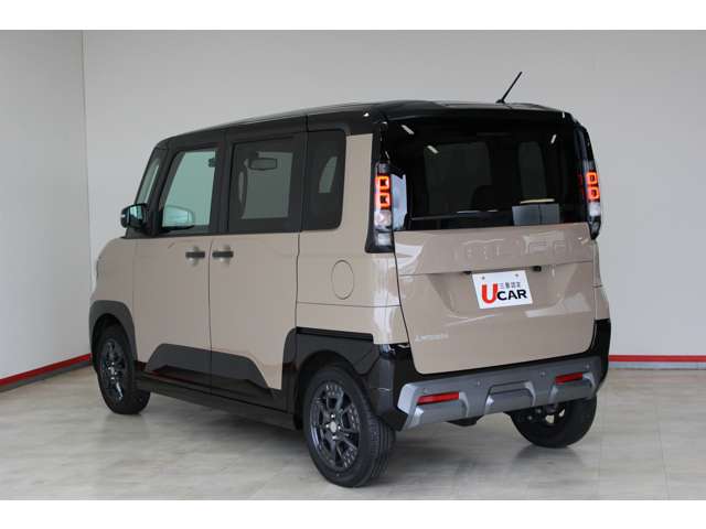 Mitsubishi Delica Mini 6