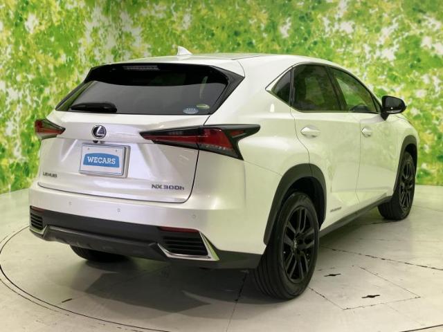 Lexus NX 6