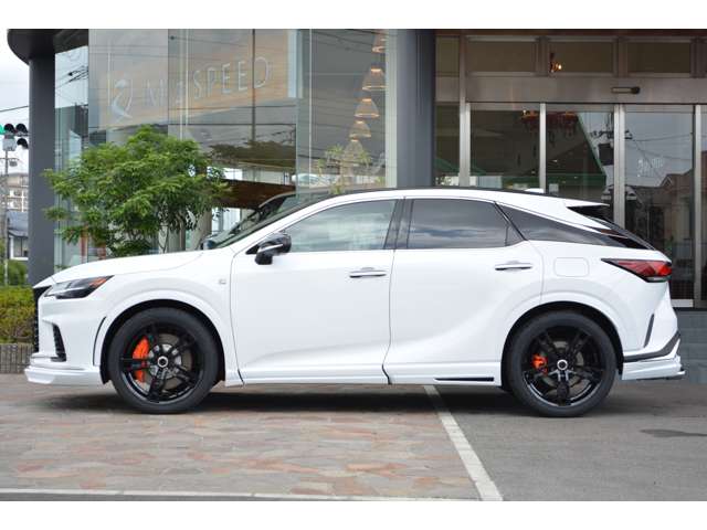 Lexus RX 11