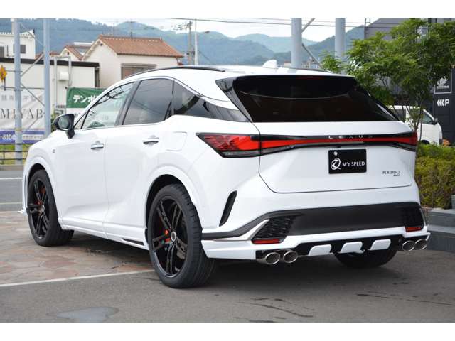 Lexus RX 12