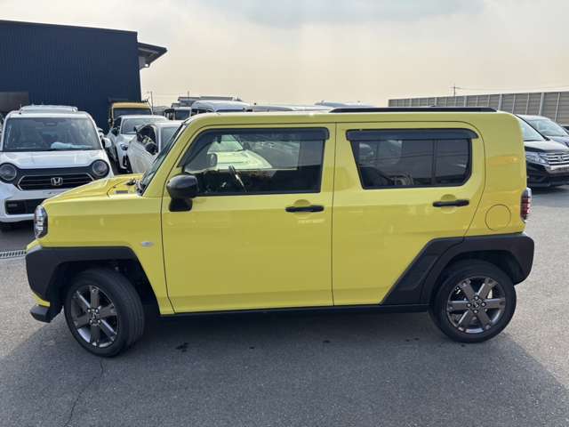 Daihatsu Taft 10