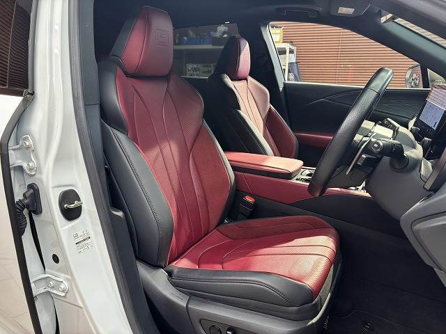 Lexus RX 11