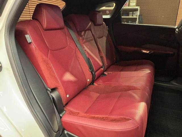 Lexus RX 12