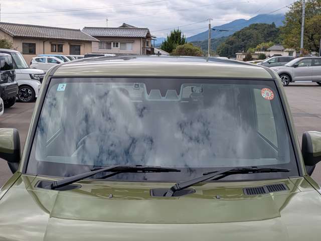 Daihatsu Taft 11