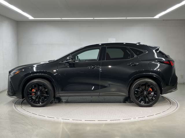 Lexus NX 4