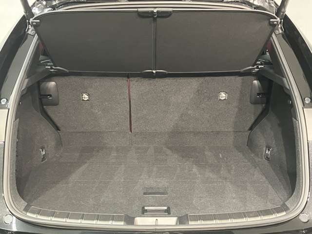 Lexus NX 6