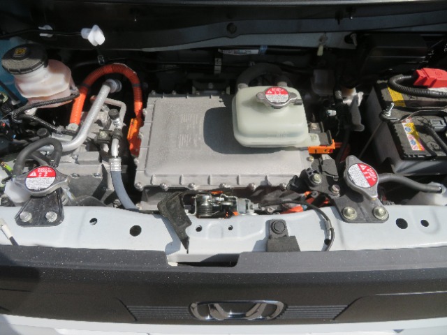 Honda N-VAN e: 3