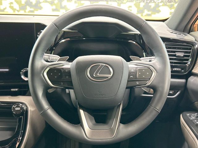Lexus NX 11