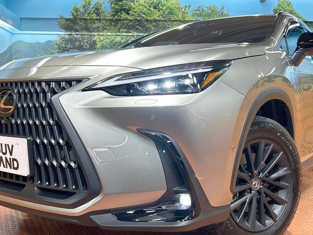 Lexus NX 12