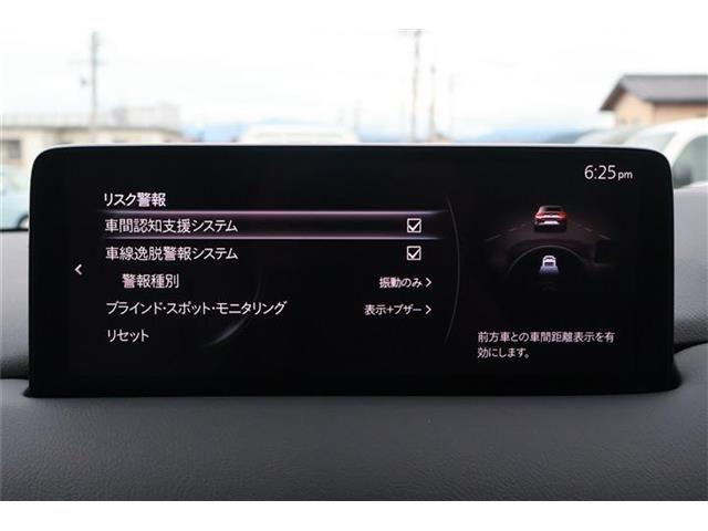 Mazda CX-8 11