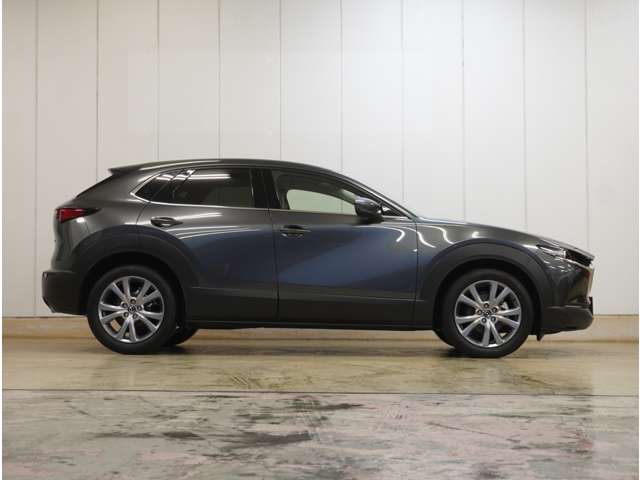 Mazda CX-30 5