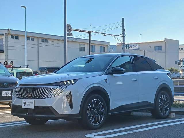 Peugeot 3008 4