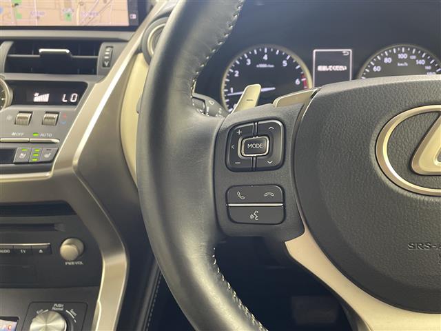 Lexus NX 11