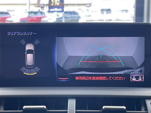 Lexus NX 6