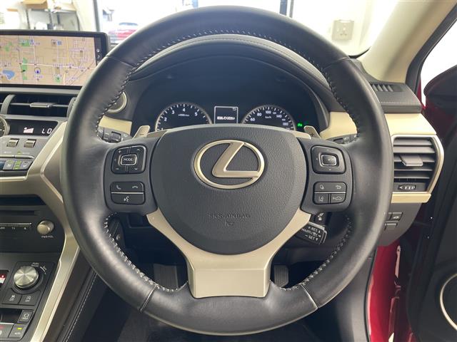 Lexus NX 10