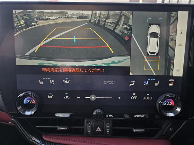 Lexus NX 11