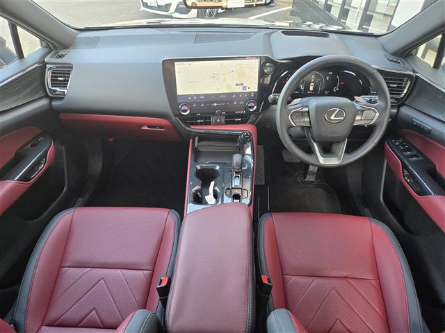 Lexus NX 12