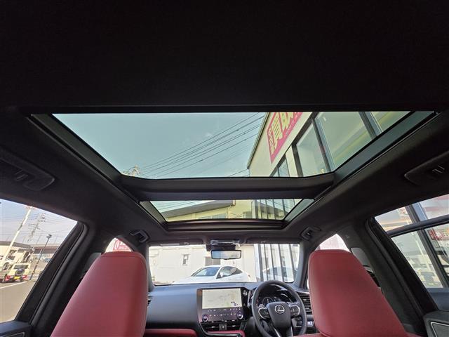 Lexus NX 5