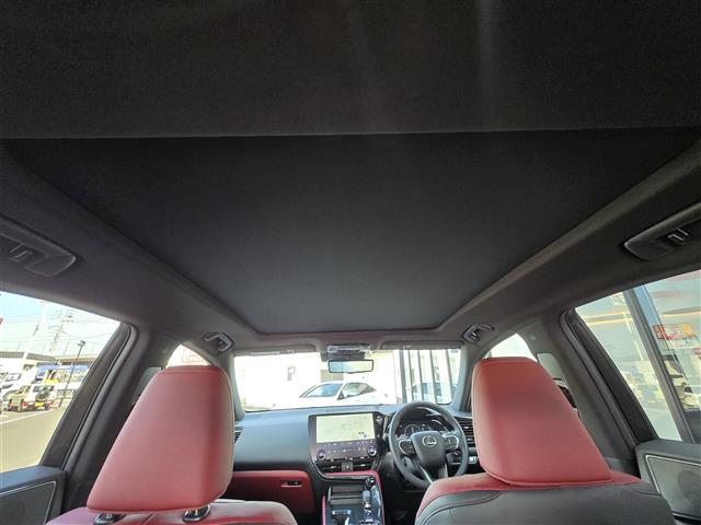 Lexus NX 7