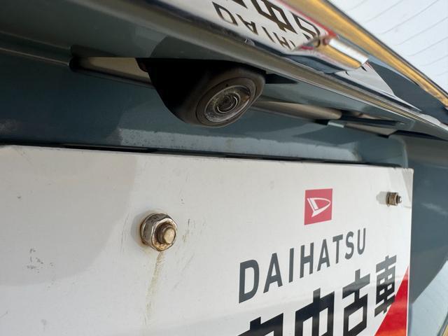 Daihatsu Taft 6