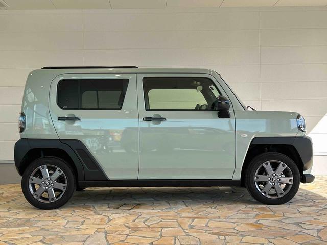 Daihatsu Taft 6