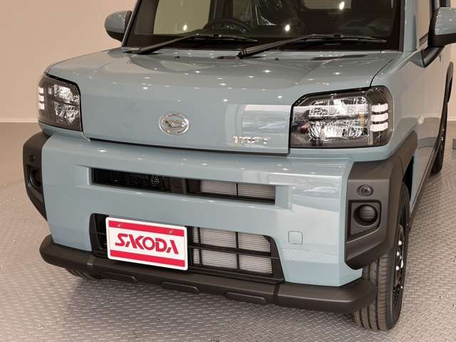 Daihatsu Taft 11