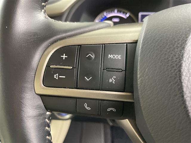 Lexus RX 11