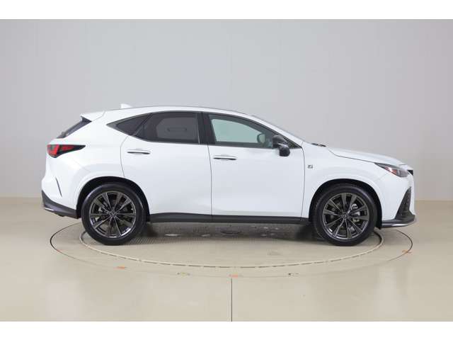 Lexus NX 4