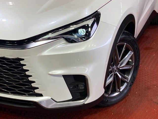 Lexus LBX 12