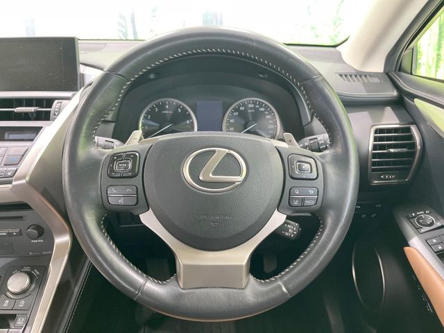 Lexus NX 11